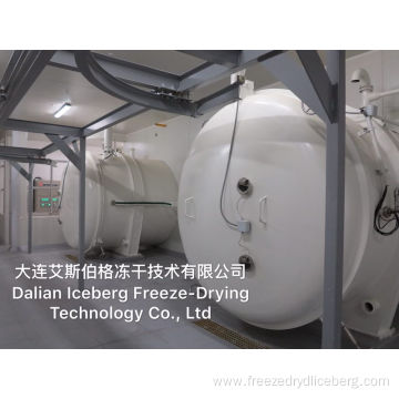 Economical Freeze Drying Machine